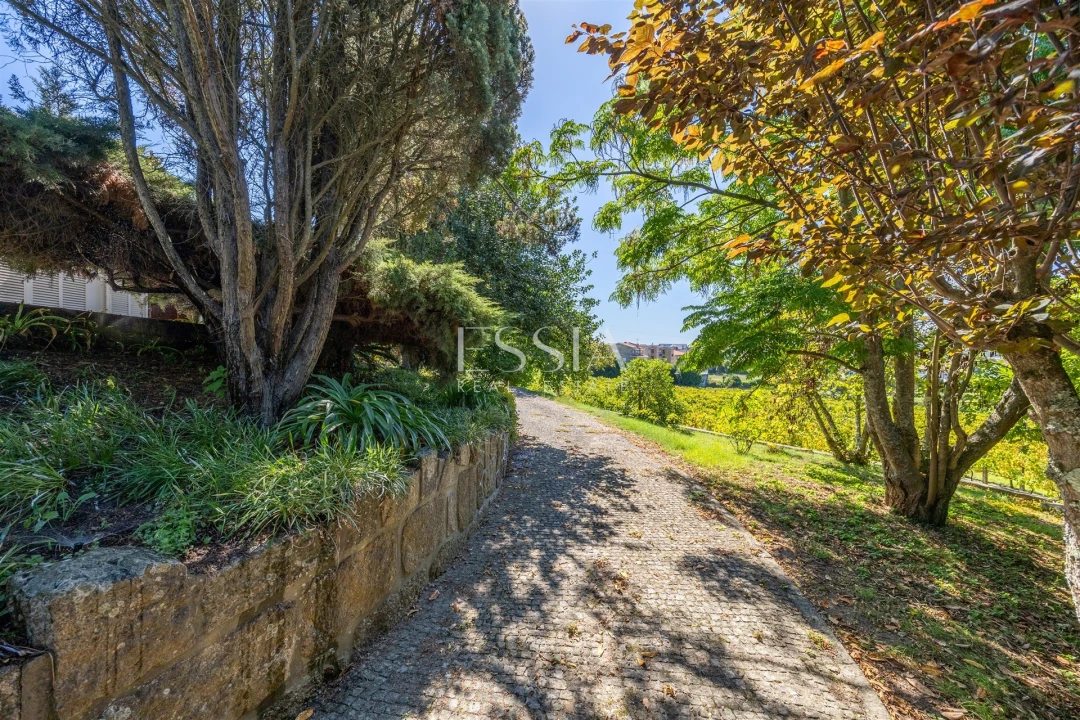 Quinta T7 para Venda em Termas de São Vicente Foto 77