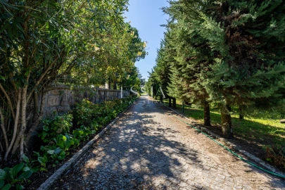 Quinta T7 para Venda em Termas de São Vicente