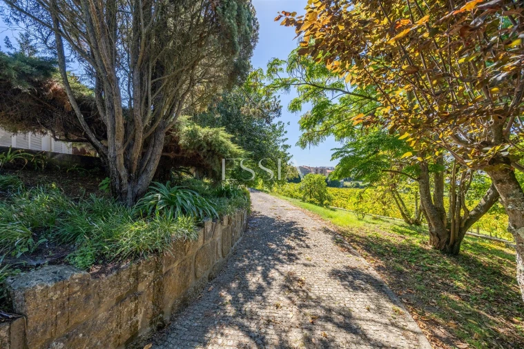 Quinta T7 para Venda em Termas de São Vicente Foto 77