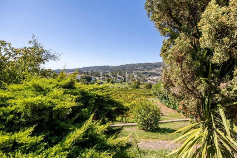 Quinta T7 para Venda em Termas de São Vicente Foto 37