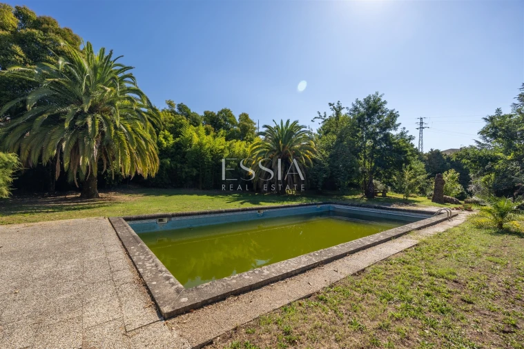Quinta T7 para Venda em Termas de São Vicente Foto 6