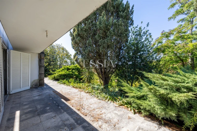 Quinta T7 para Venda em Termas de São Vicente Foto 30
