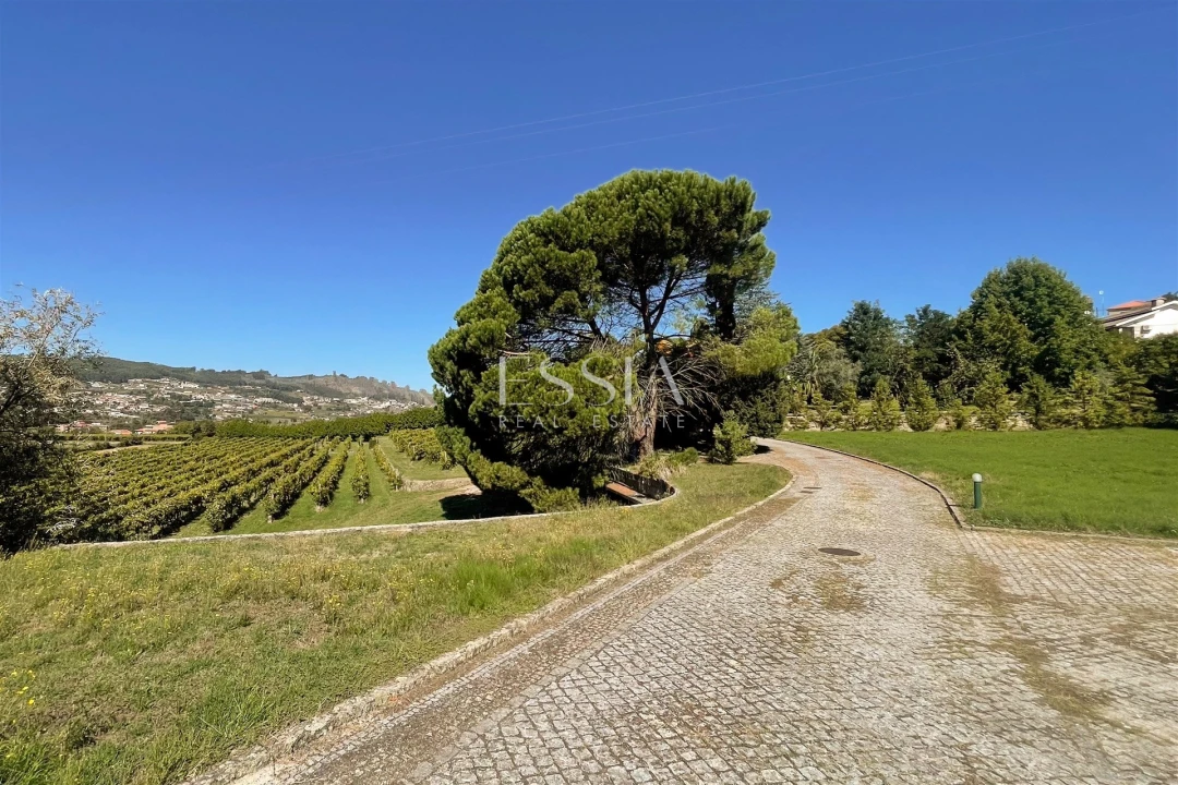 Quinta T7 para Venda em Termas de São Vicente Foto 2