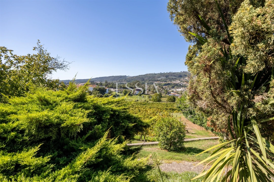Quinta T7 para Venda em Termas de São Vicente Foto 37