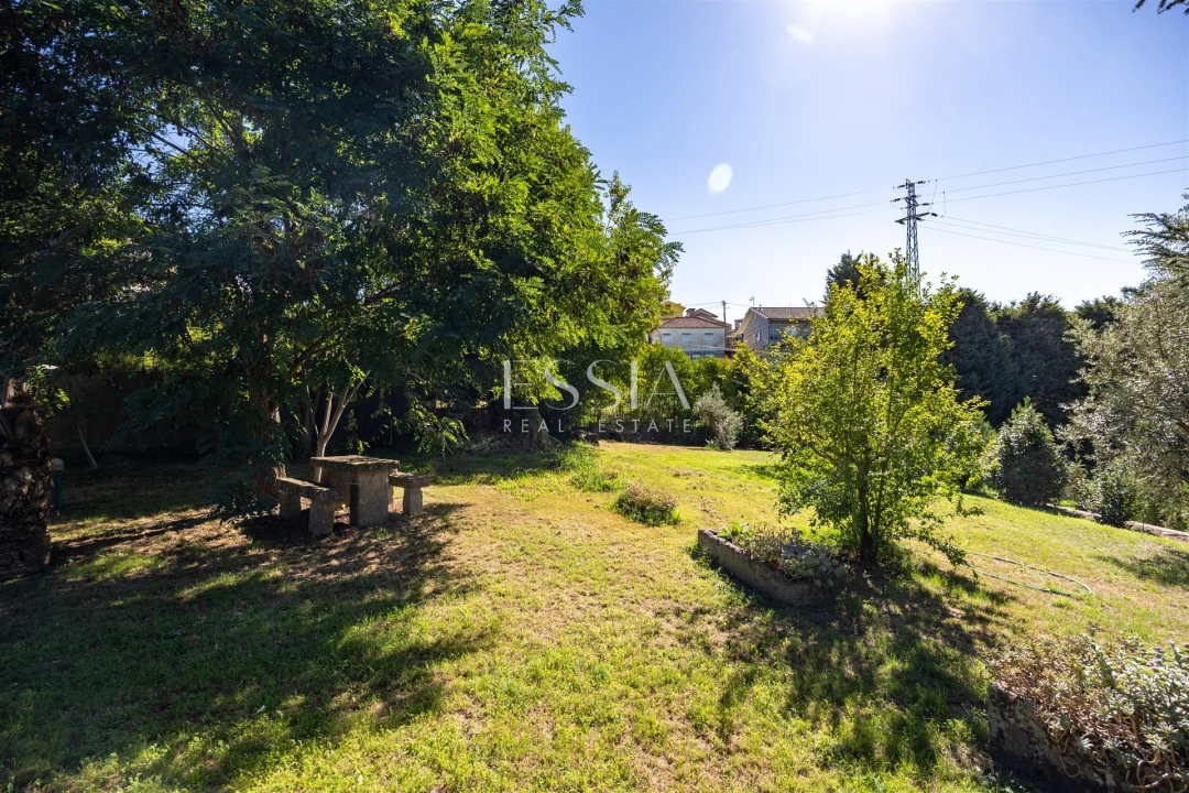 Quinta T7 para Venda em Termas de São Vicente Foto 8