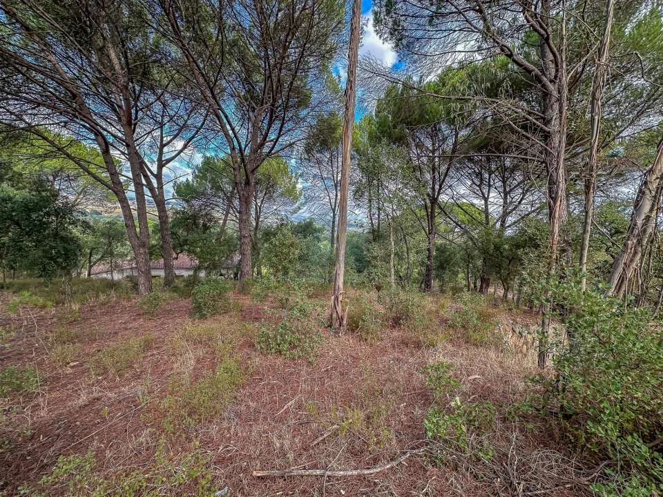 Terreno para Venda em Pego Foto 17
