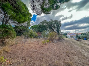 Terreno para Venda em Pego