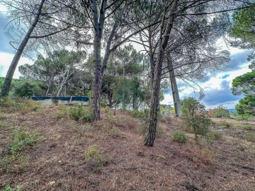 Terreno para Venda em Pego