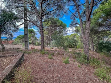 Terreno para Venda em Pego