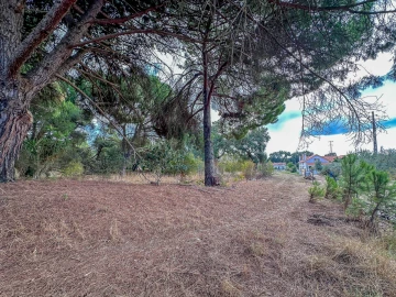 Terreno para Venda em Pego