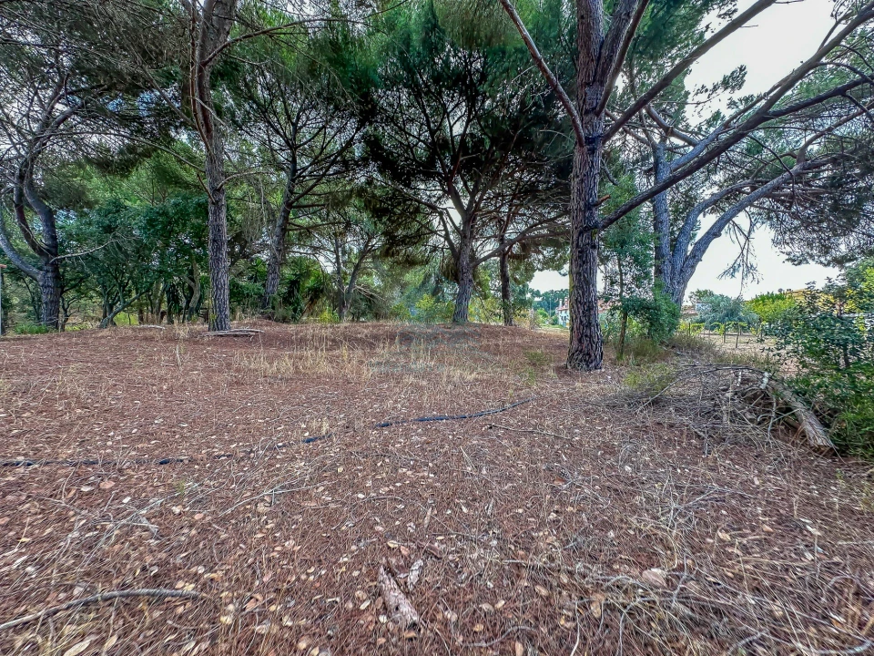 Terreno para Venda em Pego Foto 14