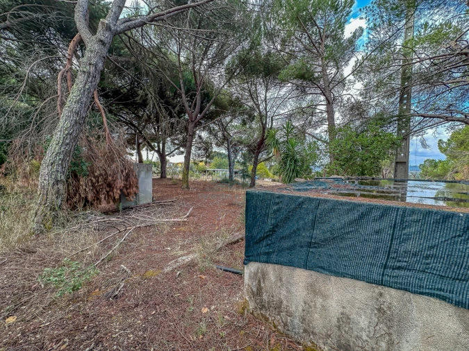 Terreno para Venda em Pego Foto 20