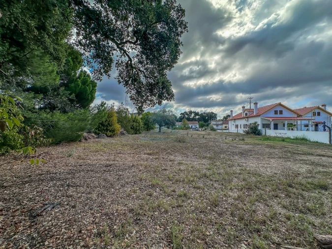 Terreno para Venda em Pego Foto 9