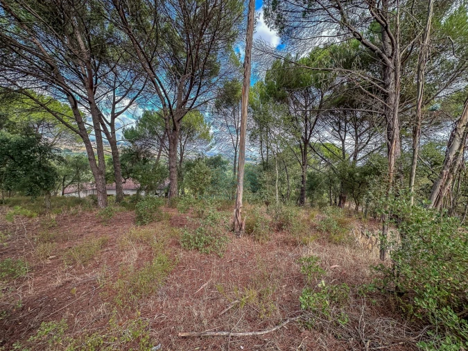 Terreno para Venda em Pego Foto 17
