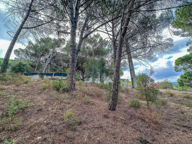 Terreno para Venda em Pego Foto 15