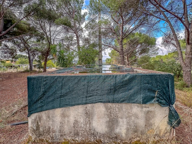 Terreno para Venda em Pego Foto 19