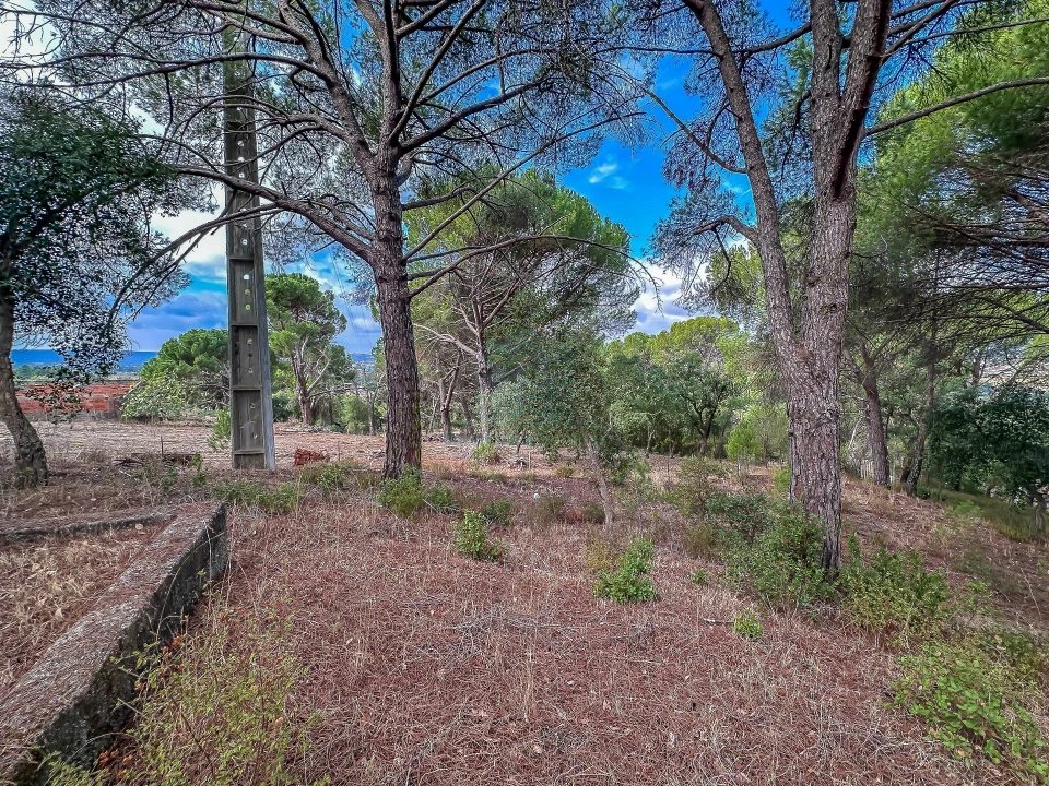Terreno para Venda em Pego Foto 18