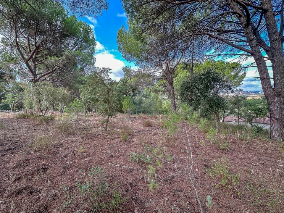 Terreno para Venda em Pego Foto 16
