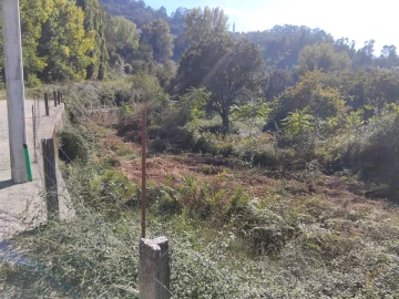 Terreno Agricola ou Rústico para Venda em Adaufe