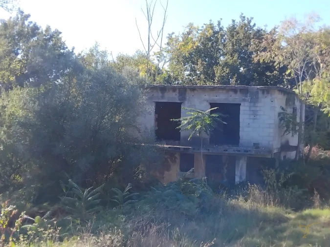 Terreno Agricola ou Rústico para Venda em Adaufe Foto 3