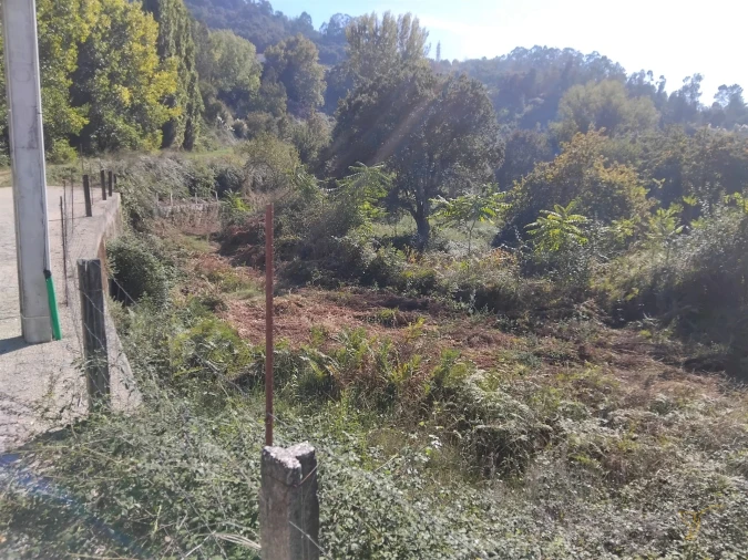 Terreno Agricola ou Rústico para Venda em Adaufe Foto 4