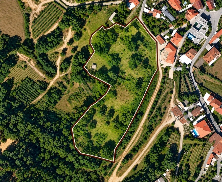 Terreno Agricola ou Rústico para Venda em Adaufe Foto 1