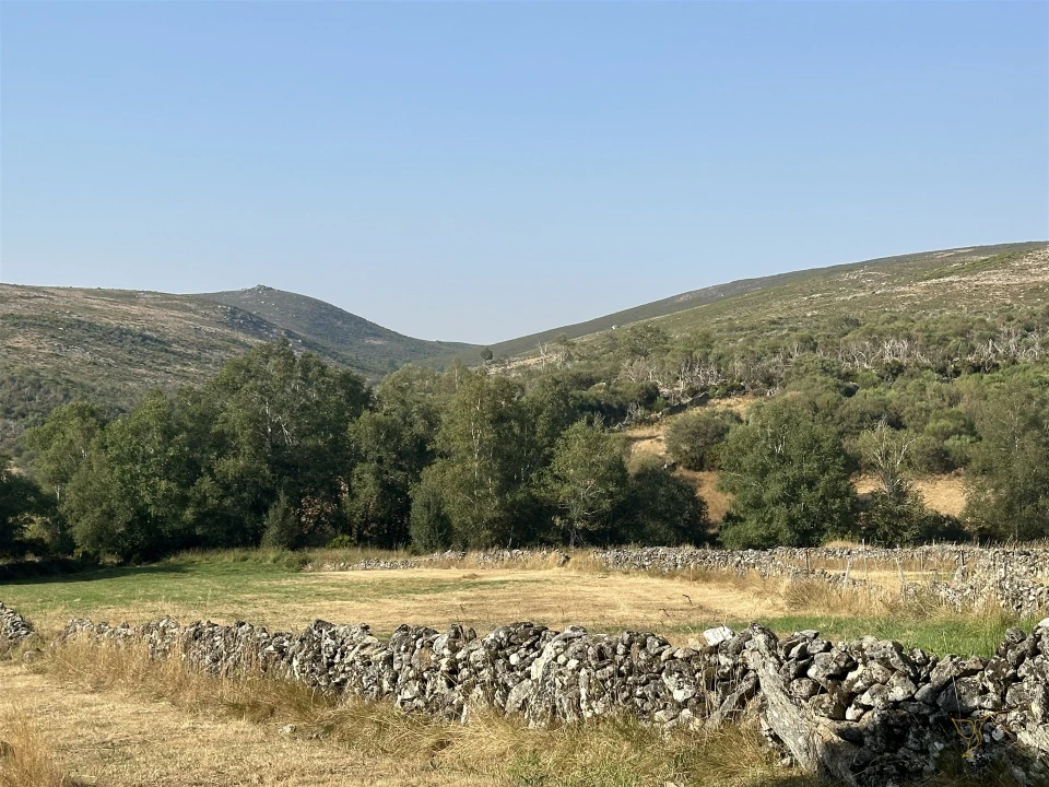 Moradia T3 para Venda em Castro Laboreiro e Lamas de Mouro Foto 16
