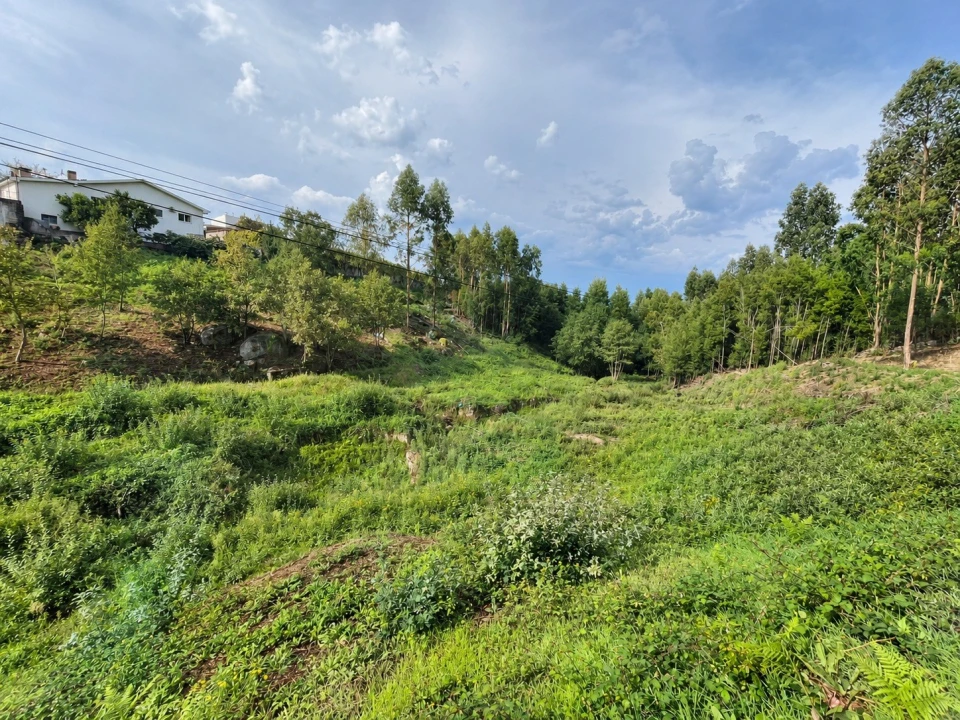 Terreno para Venda em Duas Igrejas Foto 2