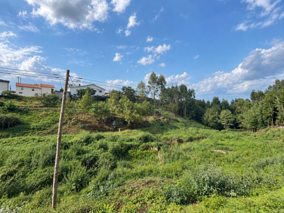 Terreno para Venda em Duas Igrejas Foto 3