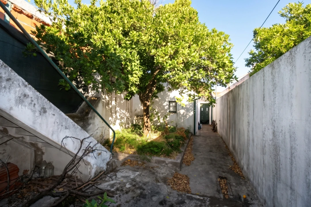 Moradia T2 para Venda em Golegã Foto 15