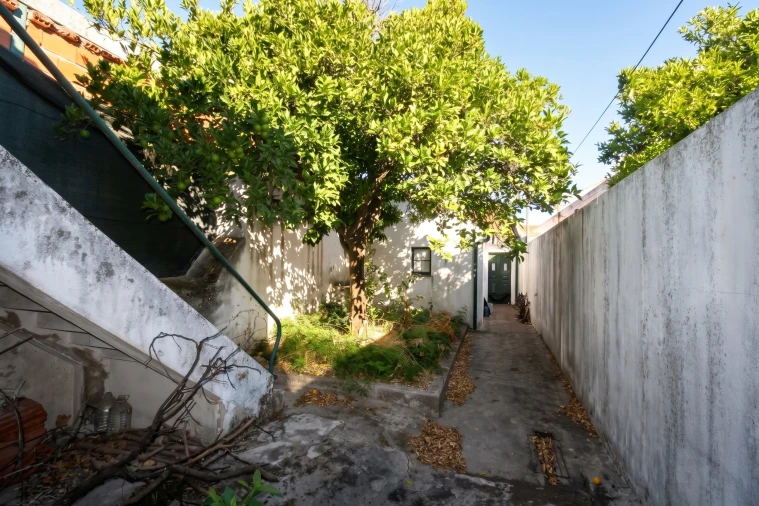 Moradia T2 para Venda em Golegã Foto 15