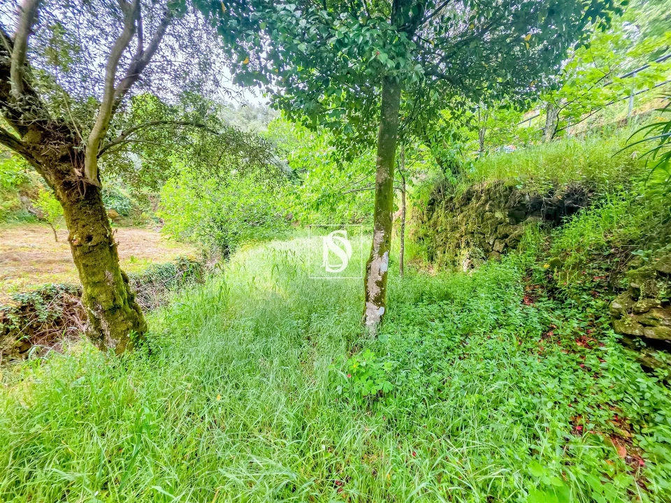 Moradia T2 para Venda em Codeçoso Foto 16
