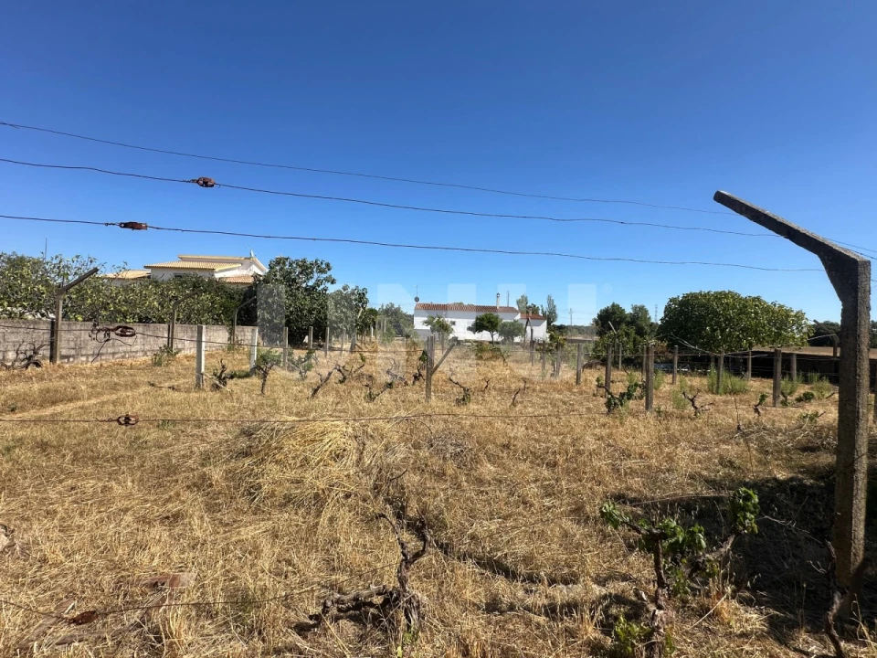 Moradia T2 para Venda em Castelo Branco Foto 26