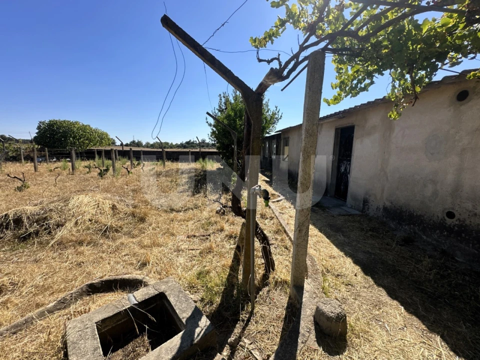 Moradia T2 para Venda em Castelo Branco Foto 29