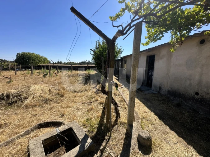Moradia T2 para Venda em Castelo Branco Foto 29