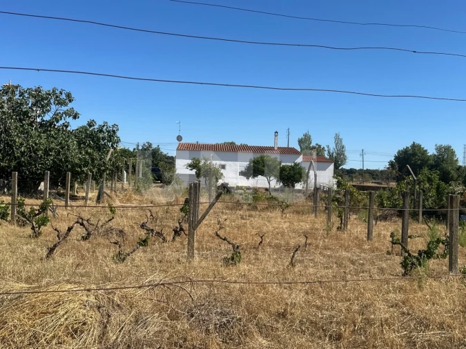 Moradia T2 para Venda em Castelo Branco Foto 25