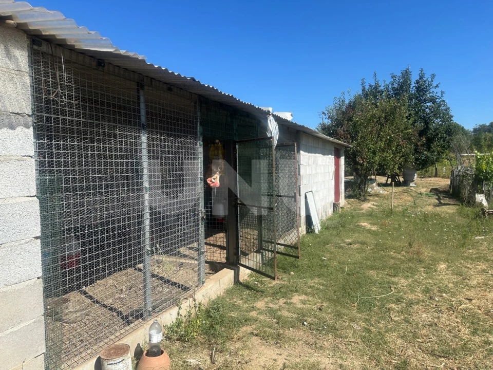 Quinta T1 para Venda em Escalos de Cima e Lousa Foto 9