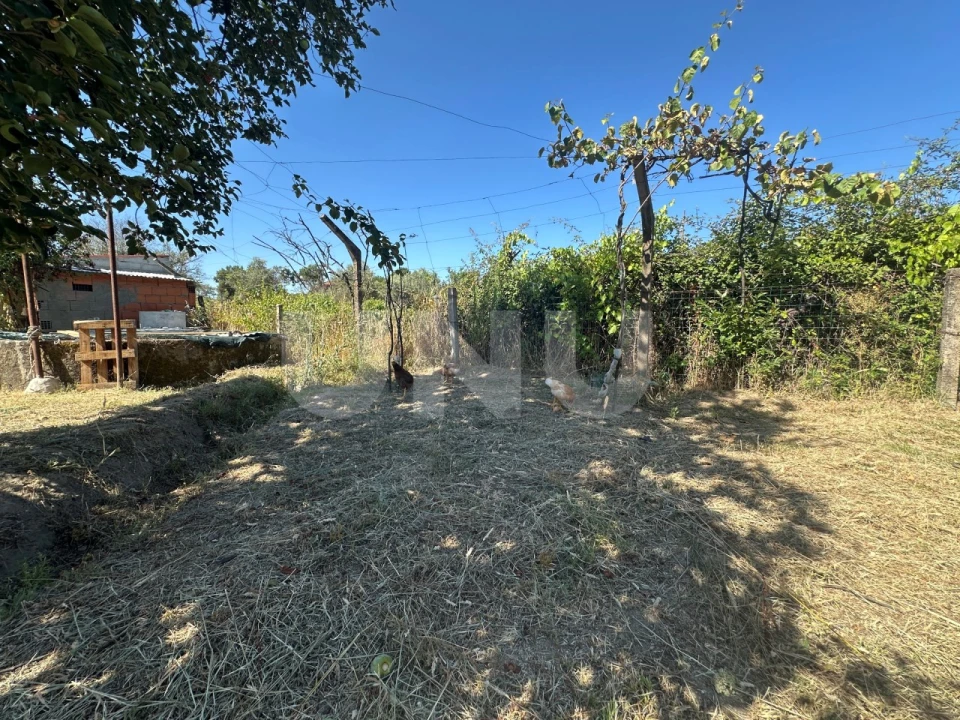 Quinta T1 para Venda em Escalos de Cima e Lousa Foto 10