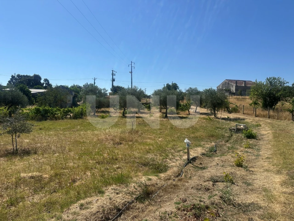 Quinta T1 para Venda em Escalos de Cima e Lousa Foto 25