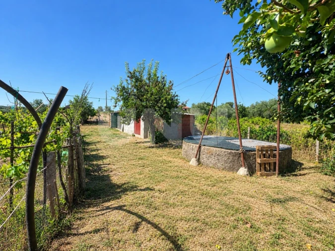 Quinta T1 para Venda em Escalos de Cima e Lousa Foto 2