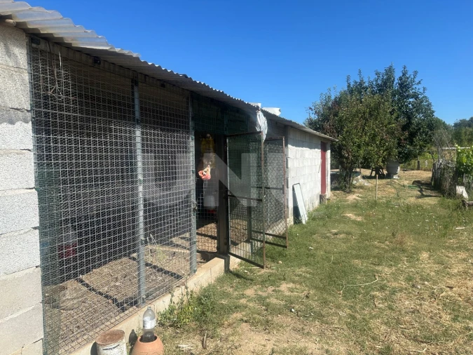 Quinta T1 para Venda em Escalos de Cima e Lousa Foto 9