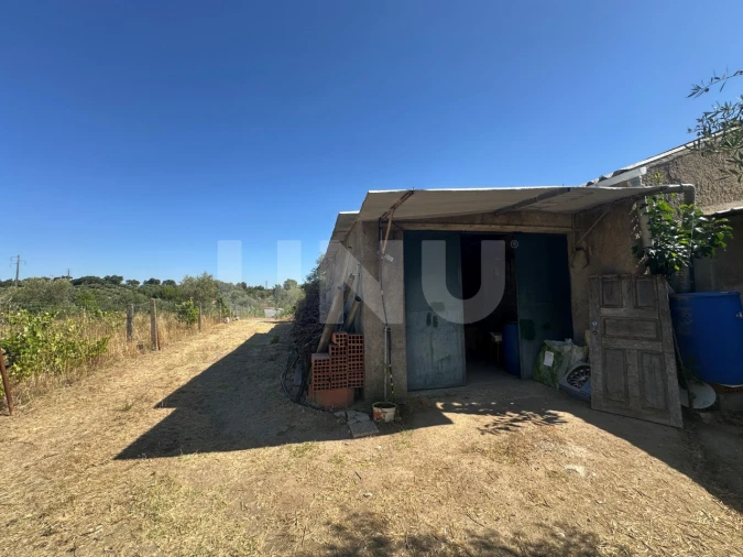 Quinta T1 para Venda em Escalos de Cima e Lousa Foto 13