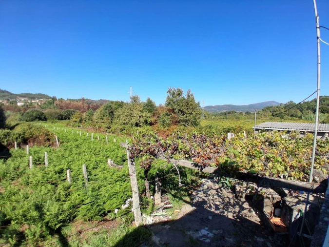 Moradia T4 para Venda em Ceivães e Badim Foto 14