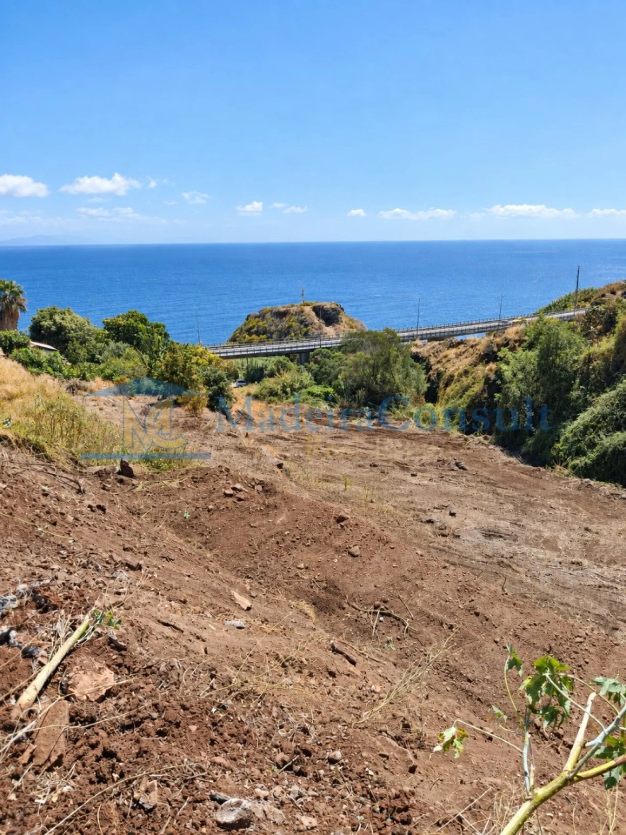 Terreno para Venda em Santa Cruz Foto 3