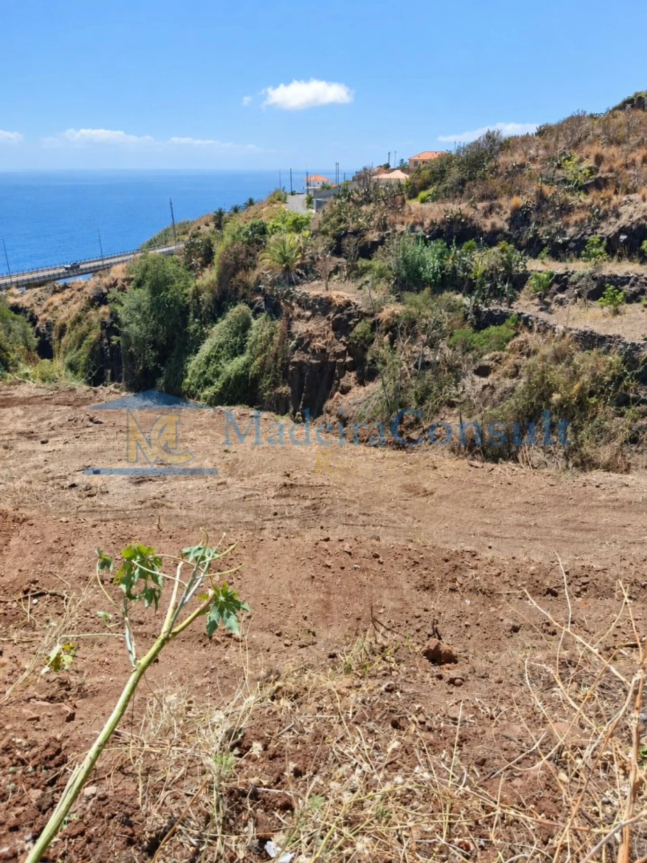 Terreno para Venda em Santa Cruz Foto 4