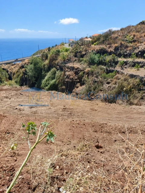 Terreno para Venda em Santa Cruz