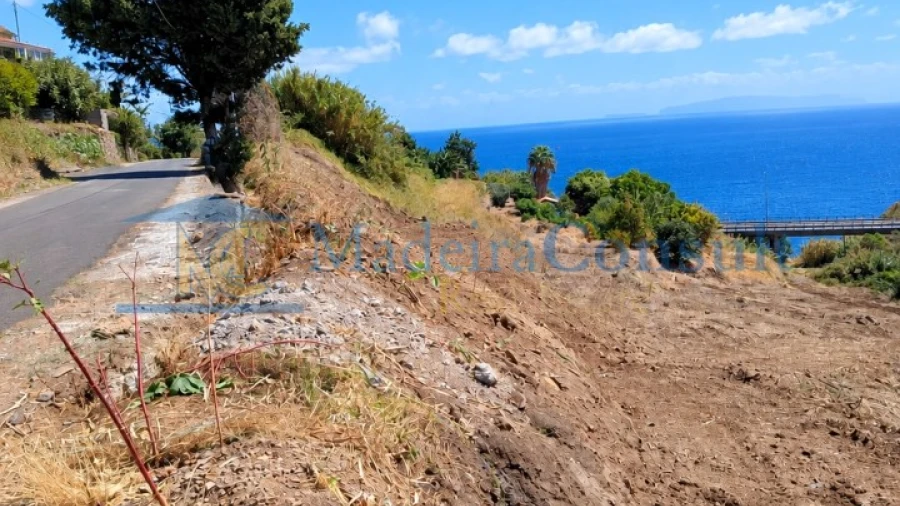 Terreno para Venda em Santa Cruz