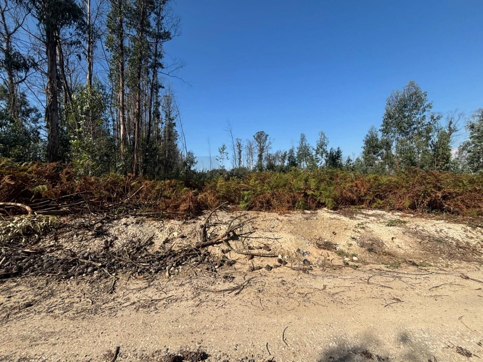 Terreno para Venda em Cacia Foto 4