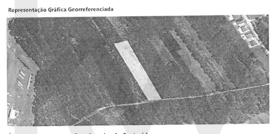 Terreno para Venda em Cacia