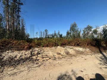 Terreno para Venda em Cacia